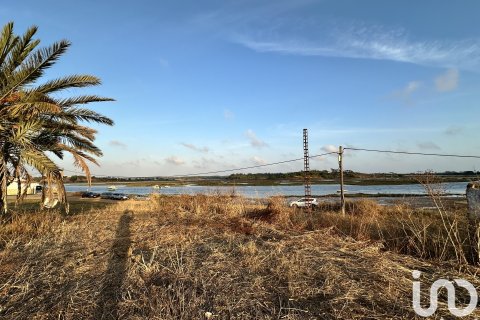 Land plot à vendre à Cartaya, Huelva, Espagne, 9759 m2 No. 186113 - photo 4