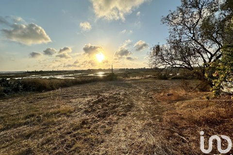 Land plot in Cartaya, Huelva, Spain 9759 sq.m. No. 186113
