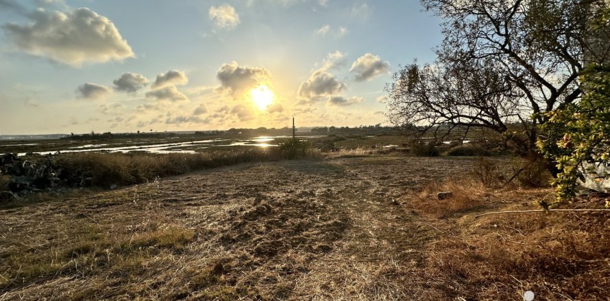 Land plot à Cartaya, Huelva, Espagne 9759 m2 No. 186113