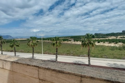 Māja pārdošanā Algorfa, Alicante, Spānijā 3 istabas, Nr. 153467 - attēls 17