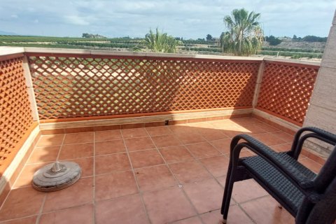 Māja pārdošanā Algorfa, Alicante, Spānijā 3 istabas, Nr. 153467 - attēls 11