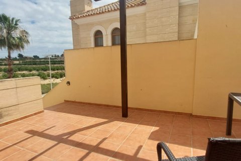 Māja pārdošanā Algorfa, Alicante, Spānijā 3 istabas, Nr. 153467 - attēls 14