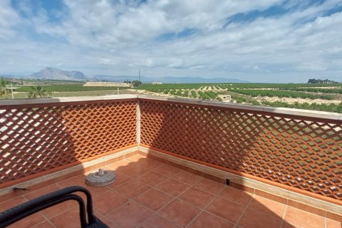 Māja pārdošanā Algorfa, Alicante, Spānijā 3 istabas, Nr. 153467 - attēls 8