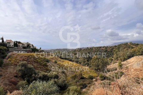 Tomt till salu i Estepona, Malaga, Spanien 4890 kvm. Nr. 157272 - foto 7