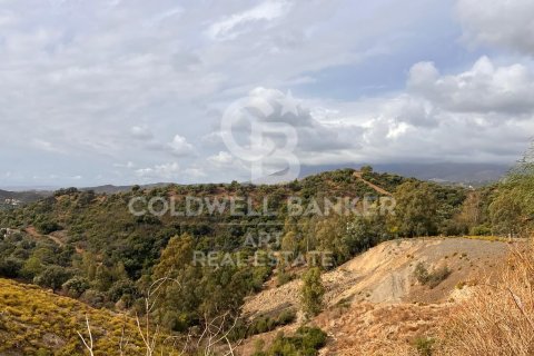 Tomt till salu i Estepona, Malaga, Spanien 4890 kvm. Nr. 157272 - foto 9