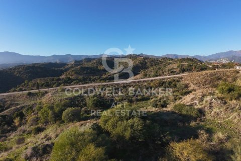 Tomt till salu i Estepona, Malaga, Spanien 4890 kvm. Nr. 157272 - foto 4