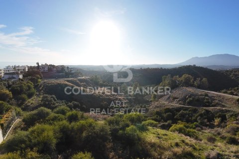 Tontti myytävänä Estepona, Malaga, Espanja , 4890 m2 No. 157272 - kuva 5