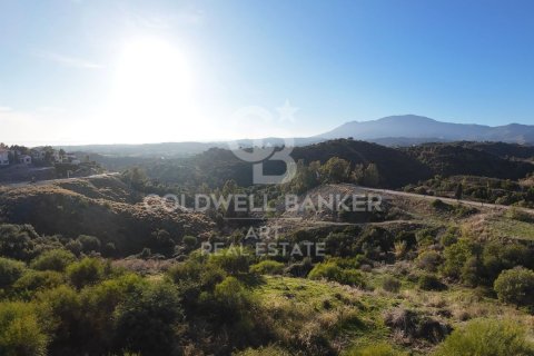 Tomt till salu i Estepona, Malaga, Spanien 4890 kvm. Nr. 157272 - foto 2