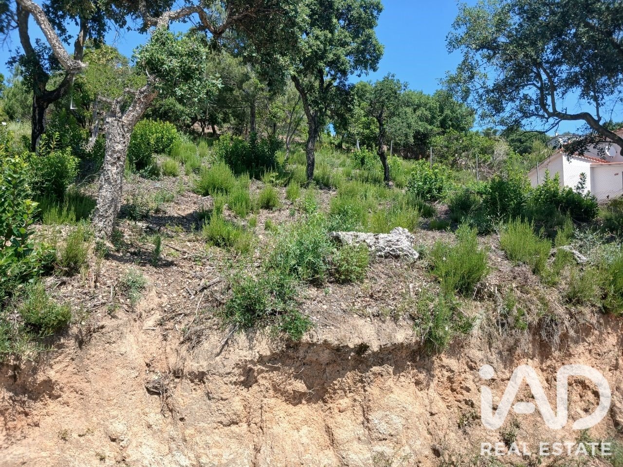 Tontti Lloret de Mar, Girona, Espanja 405 m2 No. 195111
