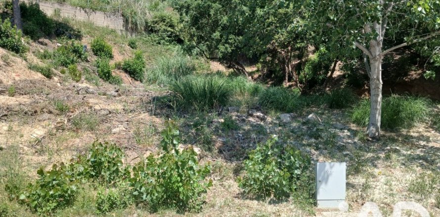 Land plot à Lloret de Mar, Girona, Espagne 405 m2 No. 195111