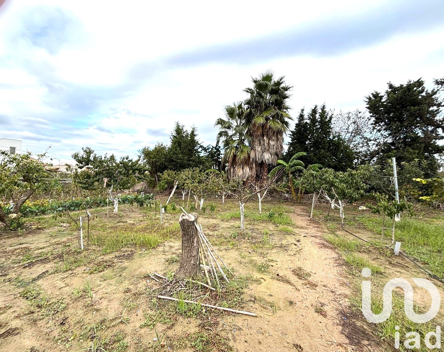 Terreno a Tarragona, Spagna 1577 mq. N° 185591