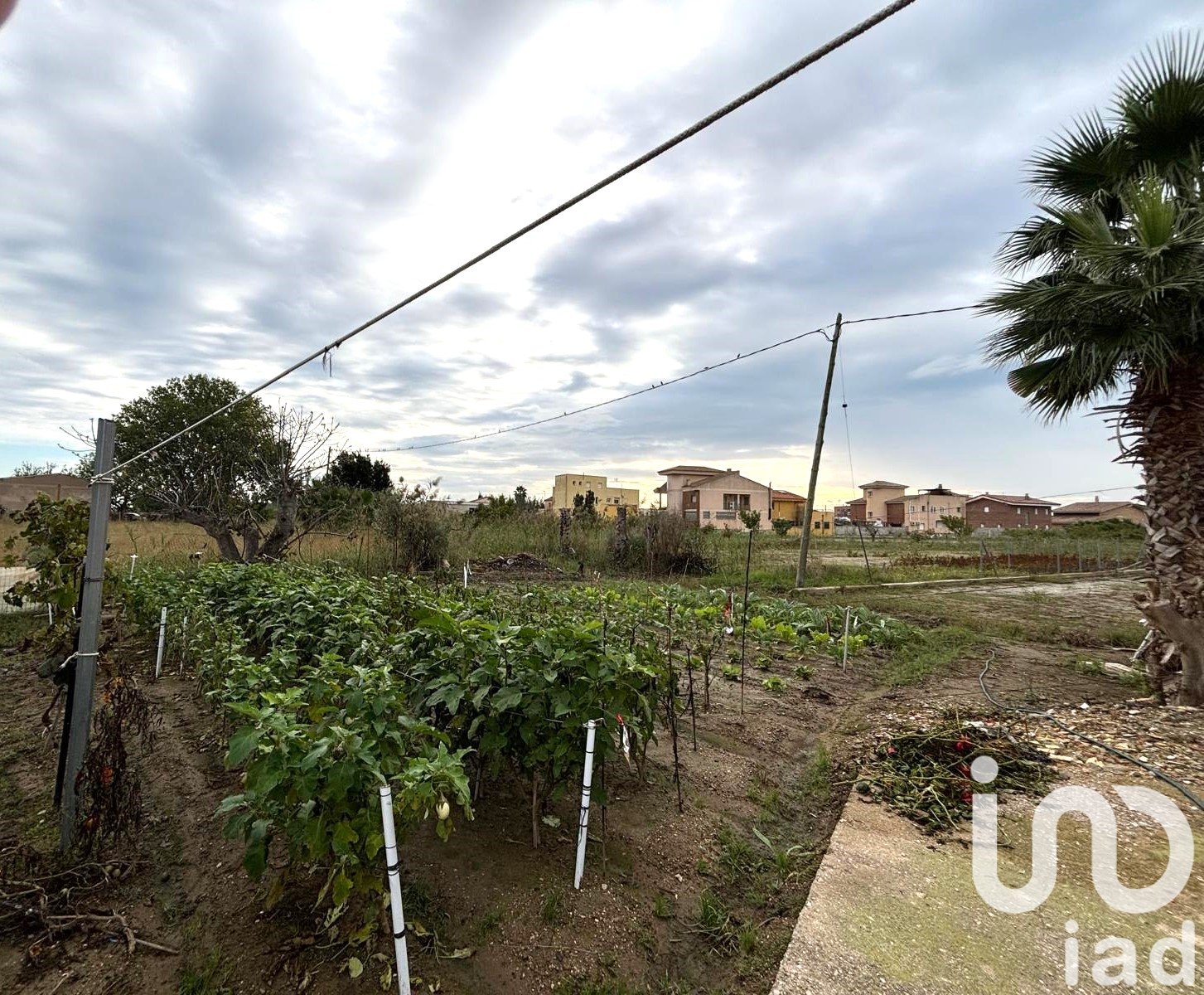 Terreno a Tarragona, Spagna 1577 mq. N° 185591