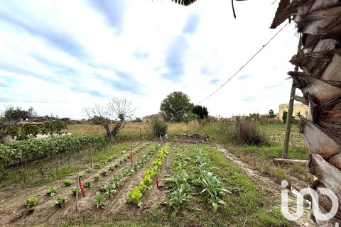Terreno a Tarragona, Spagna 1577 mq. N° 185591