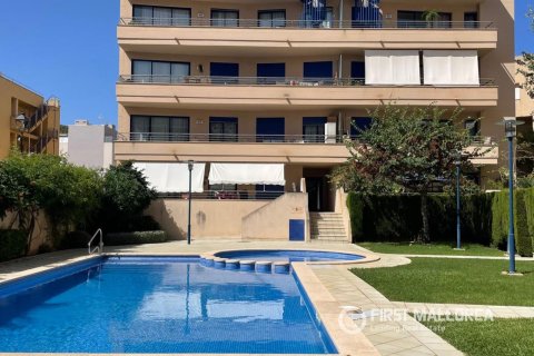 Kattohuoneisto vuokrattavana Port D'andratx, Mallorca, Espanja, 3 makuuhuonetta, 102 m2 No. 192419 - kuva 17