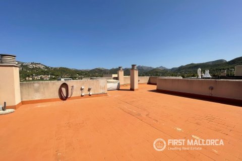 Kattohuoneisto vuokrattavana Port D'andratx, Mallorca, Espanja, 3 makuuhuonetta, 102 m2 No. 192419 - kuva 14
