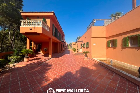 Huoneisto vuokrattavana Santa Ponsa, Mallorca, Espanja, 4 makuuhuonetta, 140 m2 No. 192417 - kuva 28