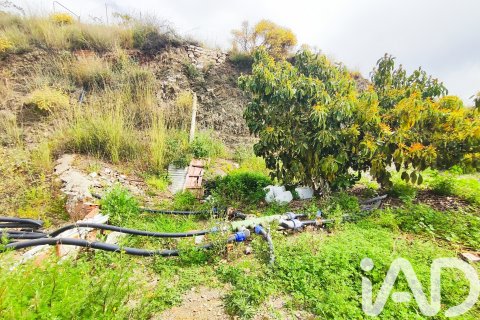 Commercial property for sale in Velez-Malaga, Malaga, Spain No. 172374 - photo 4