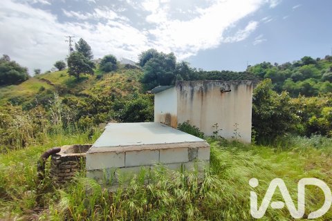 Commercial property for sale in Velez-Malaga, Malaga, Spain No. 172374 - photo 17