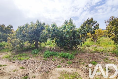 Commercial property for sale in Velez-Malaga, Malaga, Spain No. 172374 - photo 12
