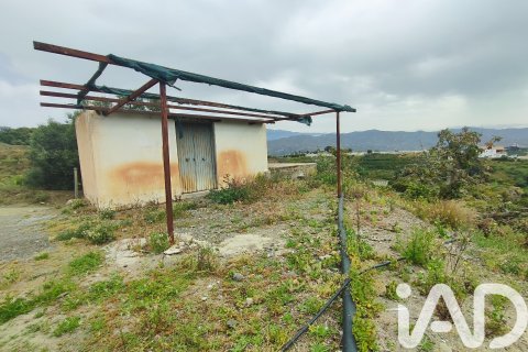 Commercial property for sale in Velez-Malaga, Malaga, Spain No. 172374 - photo 7