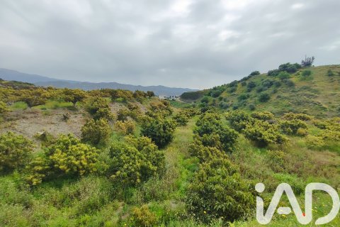 Commercial property for sale in Velez-Malaga, Malaga, Spain No. 172374 - photo 26