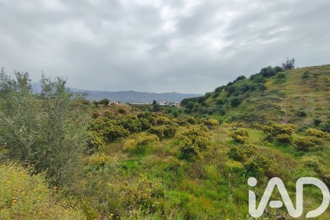 Commercial property for sale in Velez-Malaga, Malaga, Spain No. 172374 - photo 29