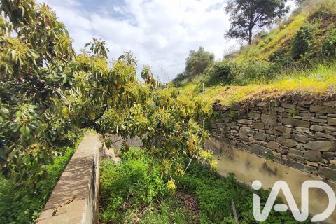 Commercial property for sale in Velez-Malaga, Malaga, Spain No. 172374 - photo 20