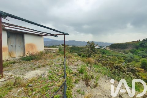 Commercial property for sale in Velez-Malaga, Malaga, Spain No. 172374 - photo 8