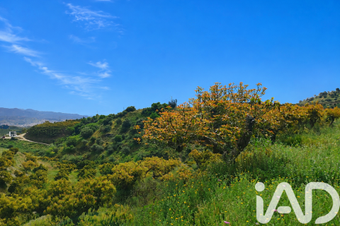 Commercial property in Velez-Malaga, Malaga, Spain No. 172374