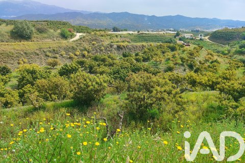 Commercial property for sale in Velez-Malaga, Malaga, Spain No. 172374 - photo 23