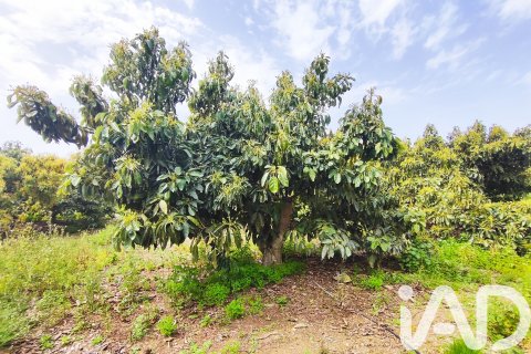 Commercial property for sale in Velez-Malaga, Malaga, Spain No. 172374 - photo 24