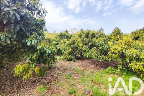 Commercial property for sale in Velez-Malaga, Malaga, Spain No. 172374 - photo 2
