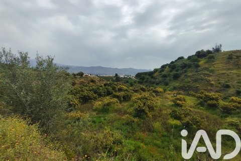 Commercial property for sale in Velez-Malaga, Malaga, Spain No. 172374 - photo 30