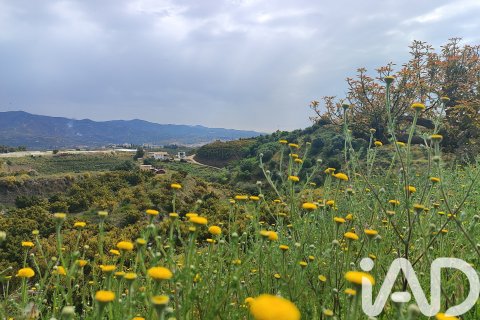 Commercial property for sale in Velez-Malaga, Malaga, Spain No. 172374 - photo 21