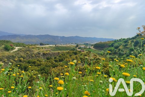 Commercial property for sale in Velez-Malaga, Malaga, Spain No. 172374 - photo 22