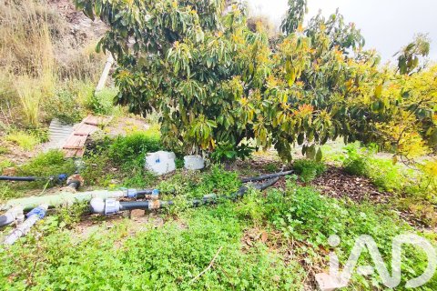 Commercial property for sale in Velez-Malaga, Malaga, Spain No. 172374 - photo 6