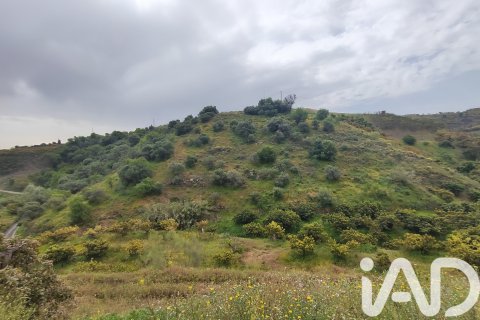 Commercial property for sale in Velez-Malaga, Malaga, Spain No. 172374 - photo 14