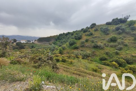 Commercial property for sale in Velez-Malaga, Malaga, Spain No. 172374 - photo 15