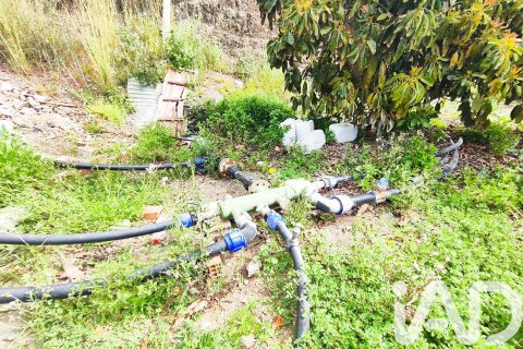 Commercial property for sale in Velez-Malaga, Malaga, Spain No. 172374 - photo 3