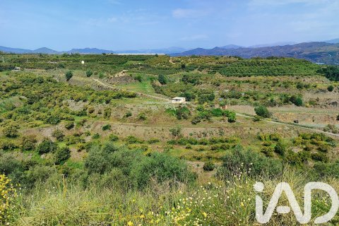 Commercial property for sale in Velez-Malaga, Malaga, Spain No. 172374 - photo 16