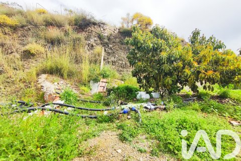 Commercial property for sale in Velez-Malaga, Malaga, Spain No. 172374 - photo 5