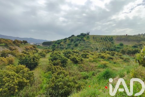Commercial property for sale in Velez-Malaga, Malaga, Spain No. 172374 - photo 9