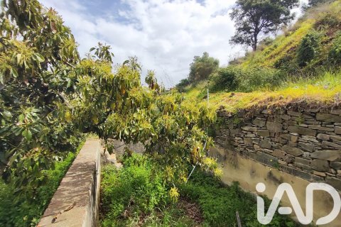 Commercial property for sale in Velez-Malaga, Malaga, Spain No. 172374 - photo 19