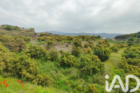 Commercial property for sale in Velez-Malaga, Malaga, Spain No. 172374 - photo 27