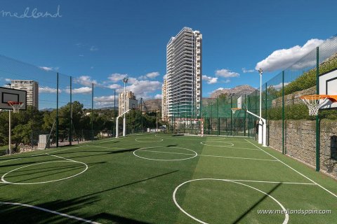 Apartment à vendre Benidorm, Alicante, Espagne, 2 chambres, 75 m2 No. 66321 - photo 10