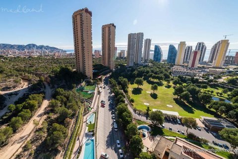 Apartment à vendre Benidorm, Alicante, Espagne, 2 chambres, 75 m2 No. 66321 - photo 15