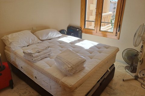 Lägenhet till salu Guardamar del Segura, Alicante, Spanien 2 sovrum,  Nr. 139535 - foto 22