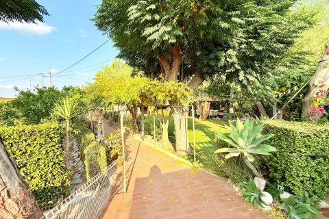 Villa for sale in Benferri, Alicante, Spain 3 bedrooms, 166 sq.m. No. 146411 - photo 17