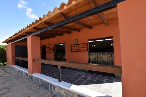 Finca myytävänä Daya Vieja, Alicante, Espanja, 6 makuuhuonetta, 299 m2 No. 137891 - kuva 4