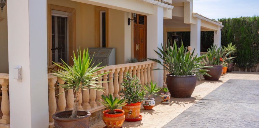Finca Daya Vieja, Alicante, Spagna 6 camere da letto, 299 mq. N° 137891